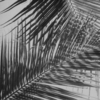 Know Yourself (Ekali Edit) Nhạc chuông Tải về miễn phí