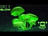 Glow 벨소리 무료 다운로드