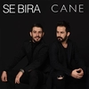 Cane آهنگ زنگ دانلود رایگان