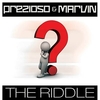 The Riddle (Alternative Radio Edit) Soittoääni Lataa ilmaiseksi