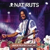 Amor Pra Recomeçar 铃声免费下载