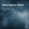 Dlala Ngama Shishi Scarica suoneria gratis