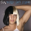 Bird Set Free Klingelton kostenlos herunterladen