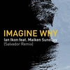 Imagine Why (Salvador Remix) Ringtone Ladda ner gratis