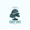 Crazy Love آهنگ زنگ دانلود رایگان