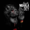 Wahala Dey Ringtone Ladda ner gratis