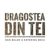 Dragostea Din Tei রিংটোন ফ্রি ডাউনলোড করুন