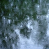 Rain At Dusk 벨소리 무료 다운로드