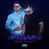 Gunga Gana Ringtone downloaden gratis