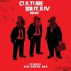 Culture Vulture (Remix/Edit) 铃声免费下载