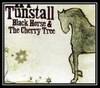 Black Horse & The Cherry Tree Ringtone Download Free