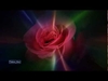 The Rose Download de Toques Gratuitos