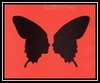 Butterflies Ringtone Last ned gratis