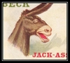 Jack-Ass آهنگ زنگ دانلود رایگان