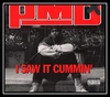 I Saw It Cummin' Descarregar gratis el to de trucada