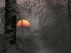 Love My Soul Download de Toques Gratuitos
