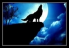 Shoot For The Moon রিংটোন ফ্রি ডাউনলোড করুন