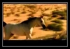 Happy Together (A Fantasy) آهنگ زنگ دانلود رایگان