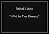 Wild In The Streets آهنگ زنگ دانلود رایگان