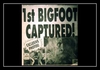 Bigfoot آهنگ زنگ دانلود رایگان