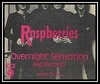 Overnight Sensation (Hit Record) Ringtone Ladda ner gratis
