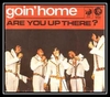 Goin' Home آهنگ زنگ دانلود رایگان