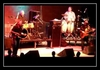 Born To Wander Ringtone Ladda ner gratis