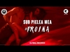 Sub Pielea Mea (Banderas Radio Mix) রিংটোন ফ্রি ডাউনলোড করুন