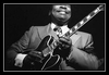 Why I Sing The Blues Unduh Nada Dering Gratis