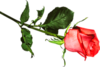 Mistress Ringtone Download Free