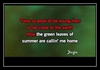 The Green Leaves Of Summer Ringtone Last ned gratis