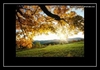 Track03 Ringtone Ladda ner gratis