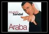 Araba 2004 Ringtone downloaden gratis