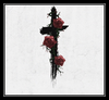 Roses 벨소리 무료 다운로드