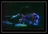 The Millionaire Waltz آهنگ زنگ دانلود رایگان