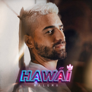 Hawai Ringtone Ladda ner gratis