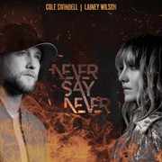 Never Say Never Ringtone Download Free