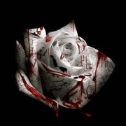 Romantic Homicide Ringtone Ladda ner gratis