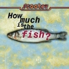 How Much Is The Fish آهنگ زنگ دانلود رایگان