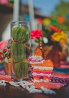 Theme آهنگ زنگ دانلود رایگان