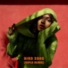 Bird Song آهنگ زنگ دانلود رایگان