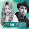 Perro Fiel Ringtone Ladda ner gratis